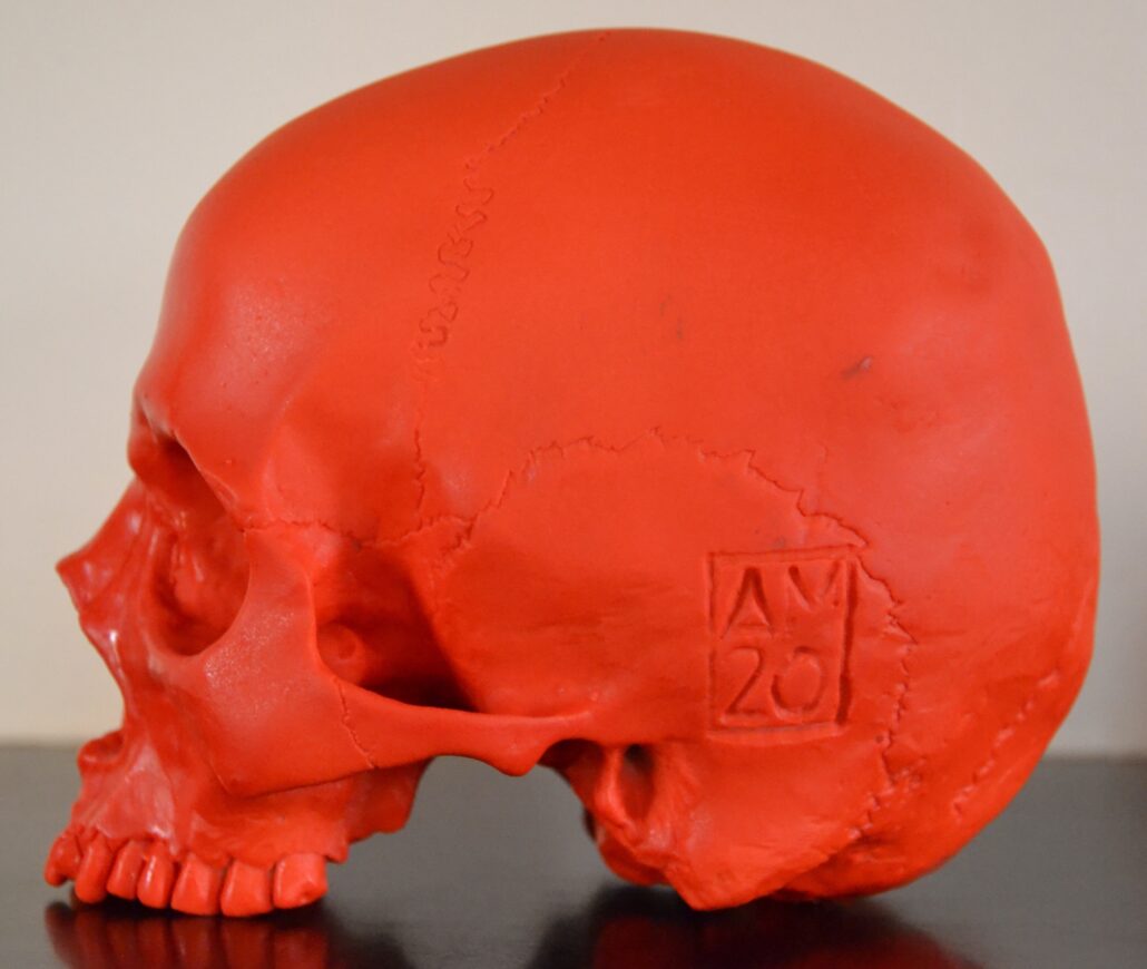 Teschio fluo di Alberto Miotti