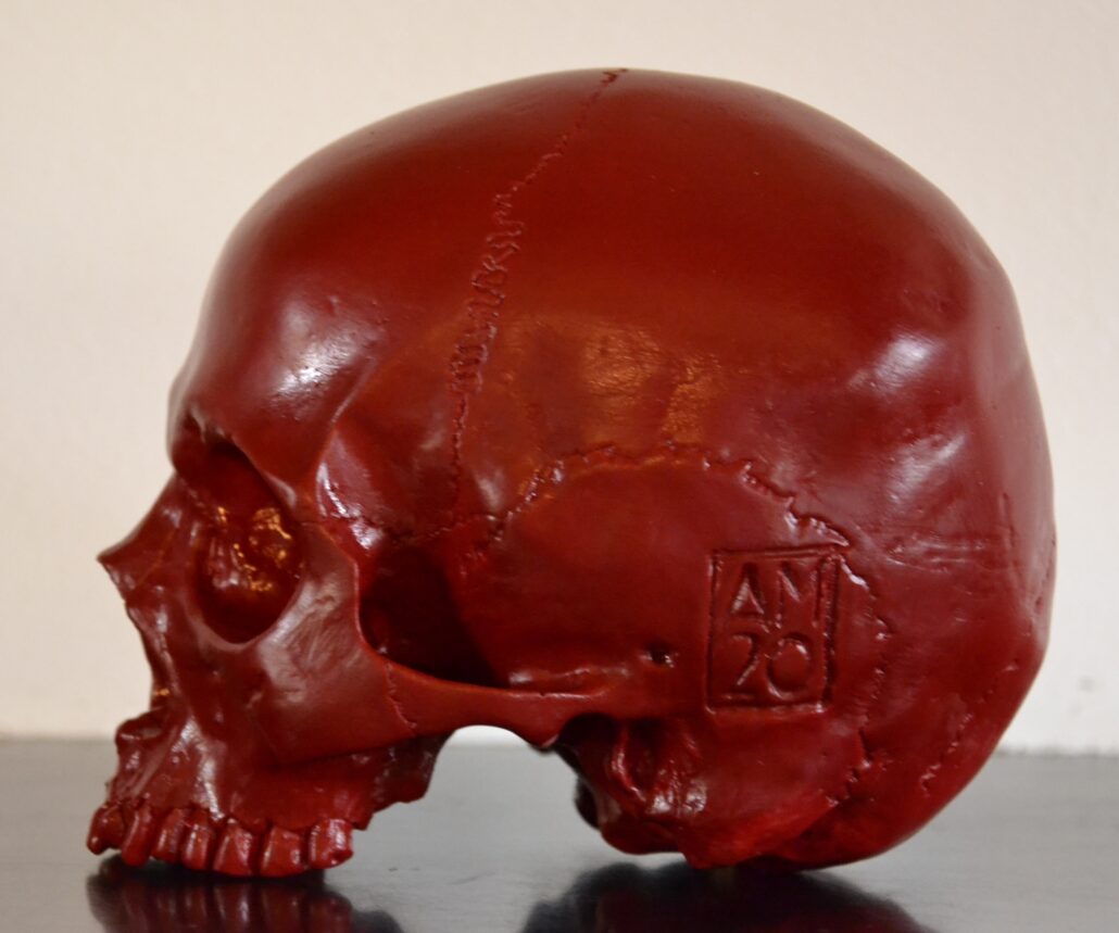 Teschio rosso di Alberto Miotti